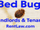 Bed Bugs Landlords and Tenants